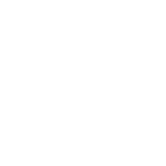 mh-company-logos-reymax-01